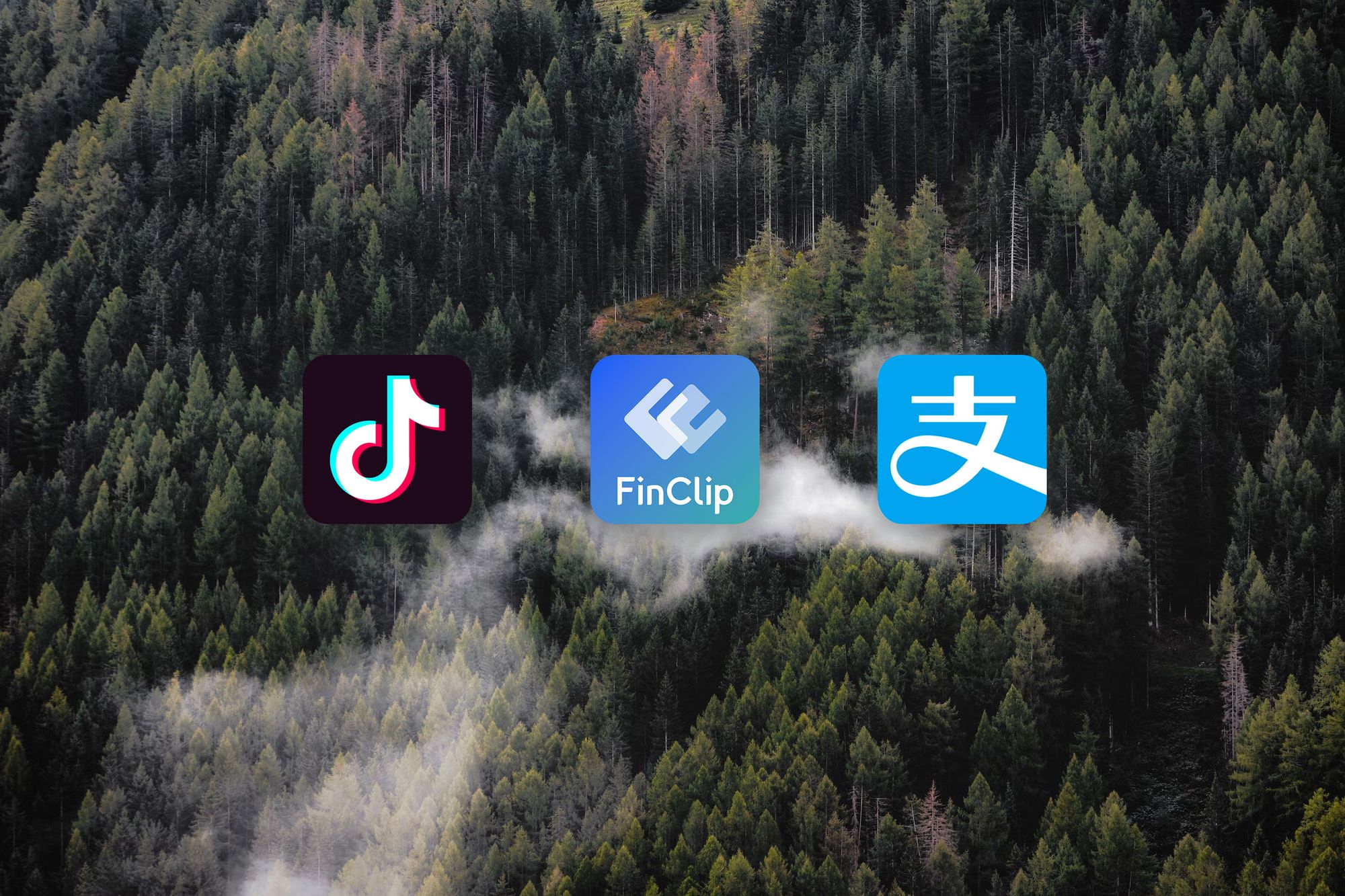 FinClip 全新升级!现已兼容抖音小程序与支付宝小程序