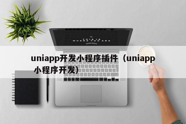 uniapp开发小程序插件（uniapp 小程序开发）