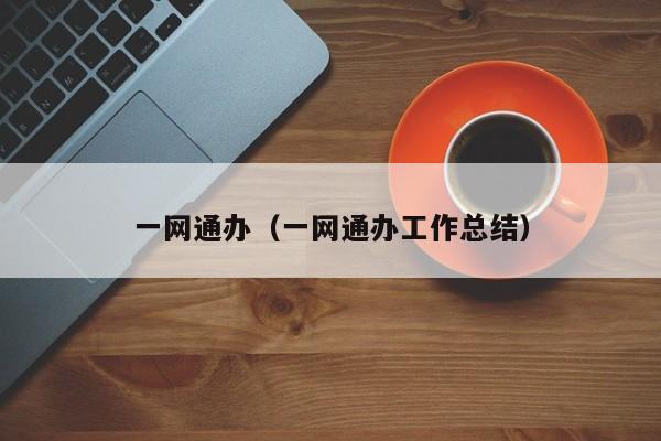一网通办（一网通办工作总结）