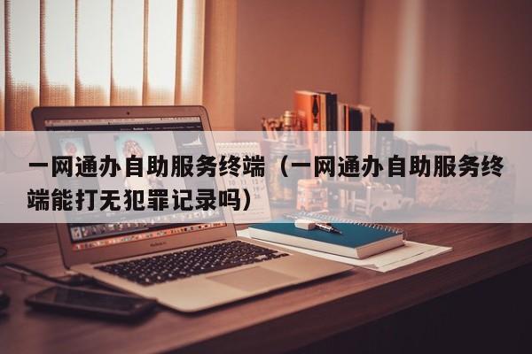 一网通办自助服务终端（一网通办自助服务终端能打无犯罪记录吗）