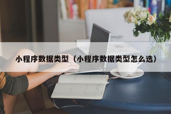 小程序数据类型（小程序数据类型怎么选）