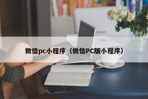 微信pc小程序（微信PC版小程序）