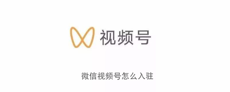 微信视频号的入驻步骤与操作指南